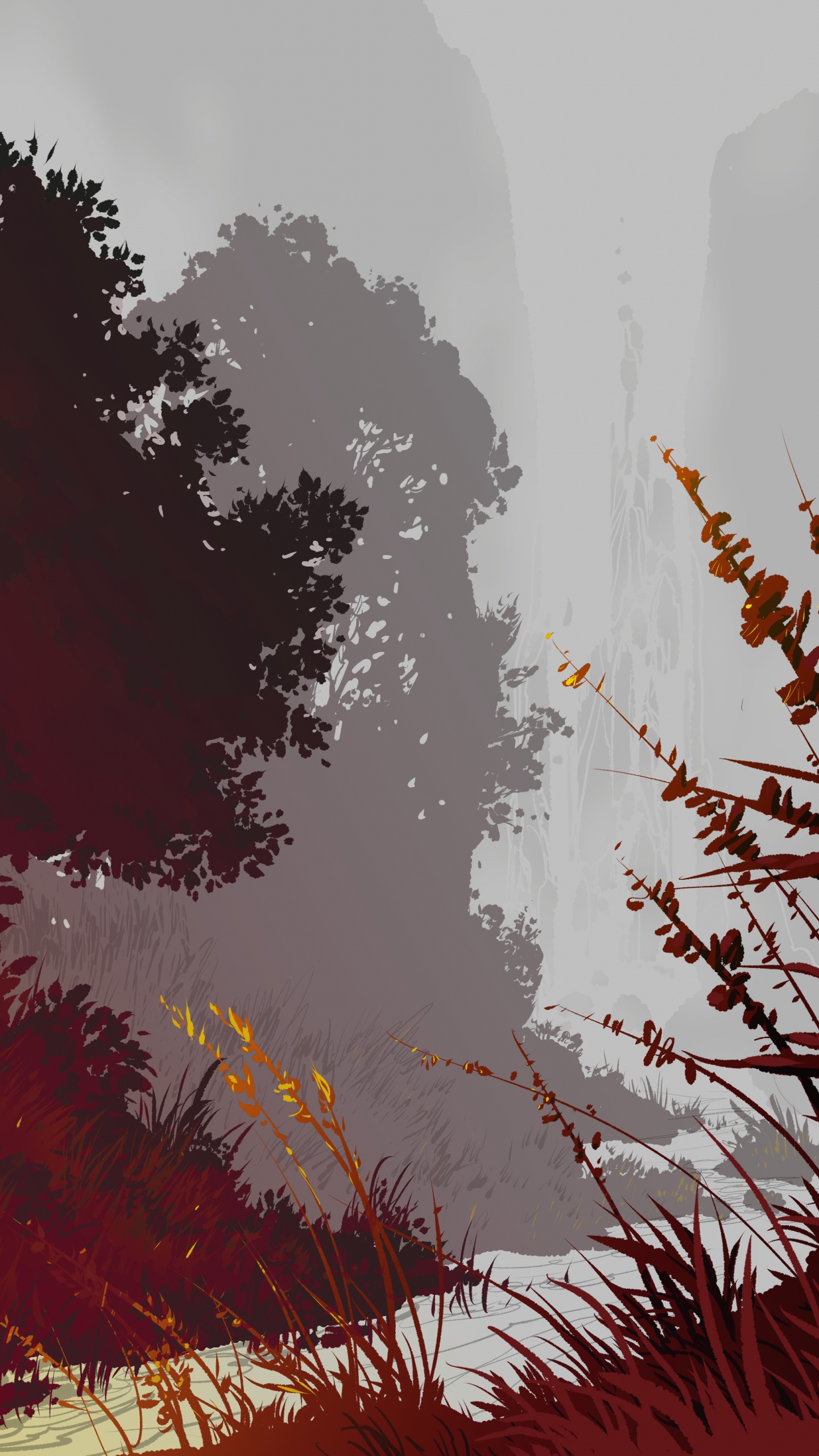 Arbres Verts Sous un Ciel Blanc Pendant la Journée. Wallpaper in 1440x2560 Resolution