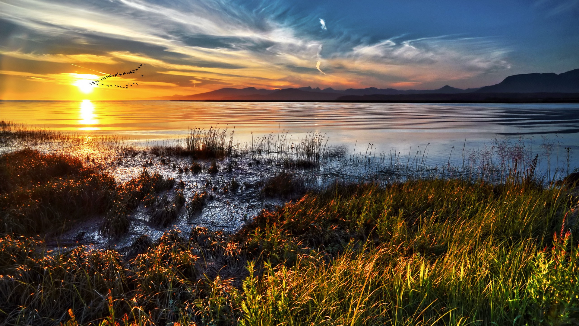 Green Grass Near Body of Water During Sunset. Wallpaper in 1920x1080 Resolution