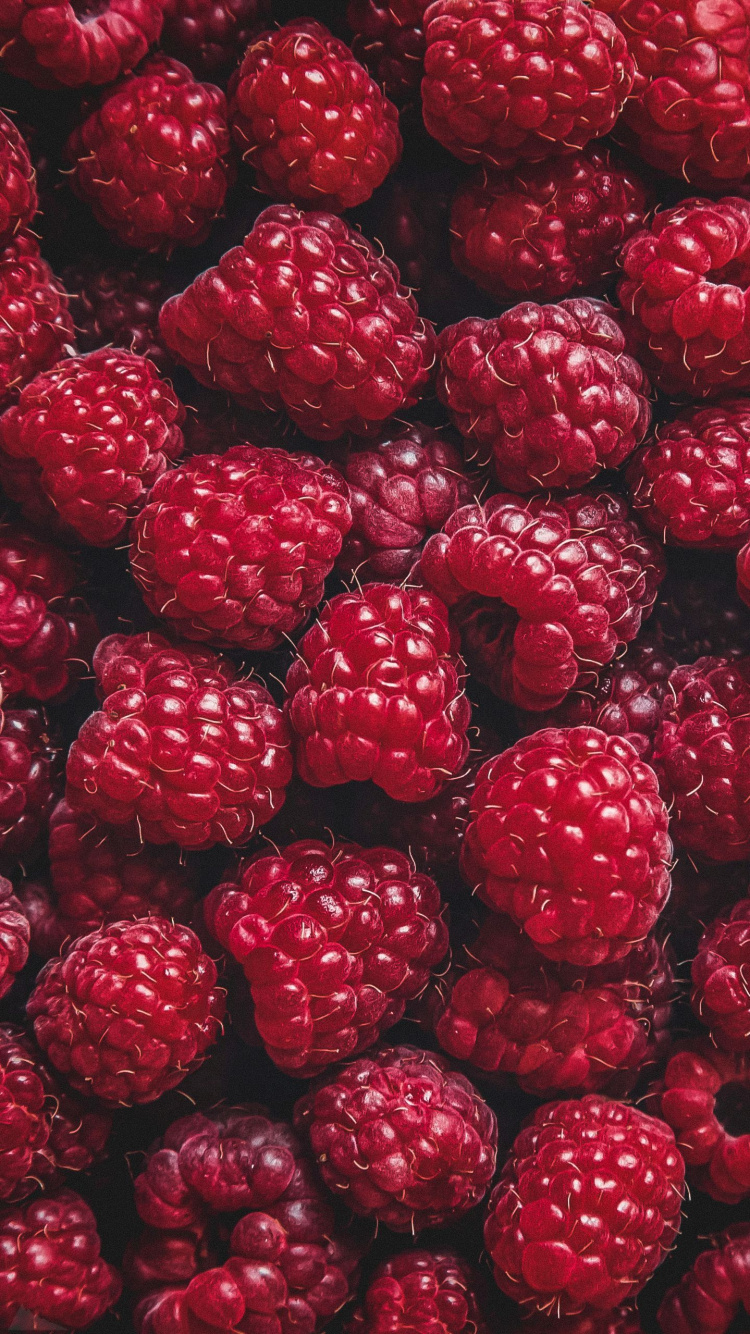 Les Aliments Naturels, Boysenberry, Framboise, Rouge Framboise, Pouding au Chocolat et Aux Framboises. Wallpaper in 750x1334 Resolution