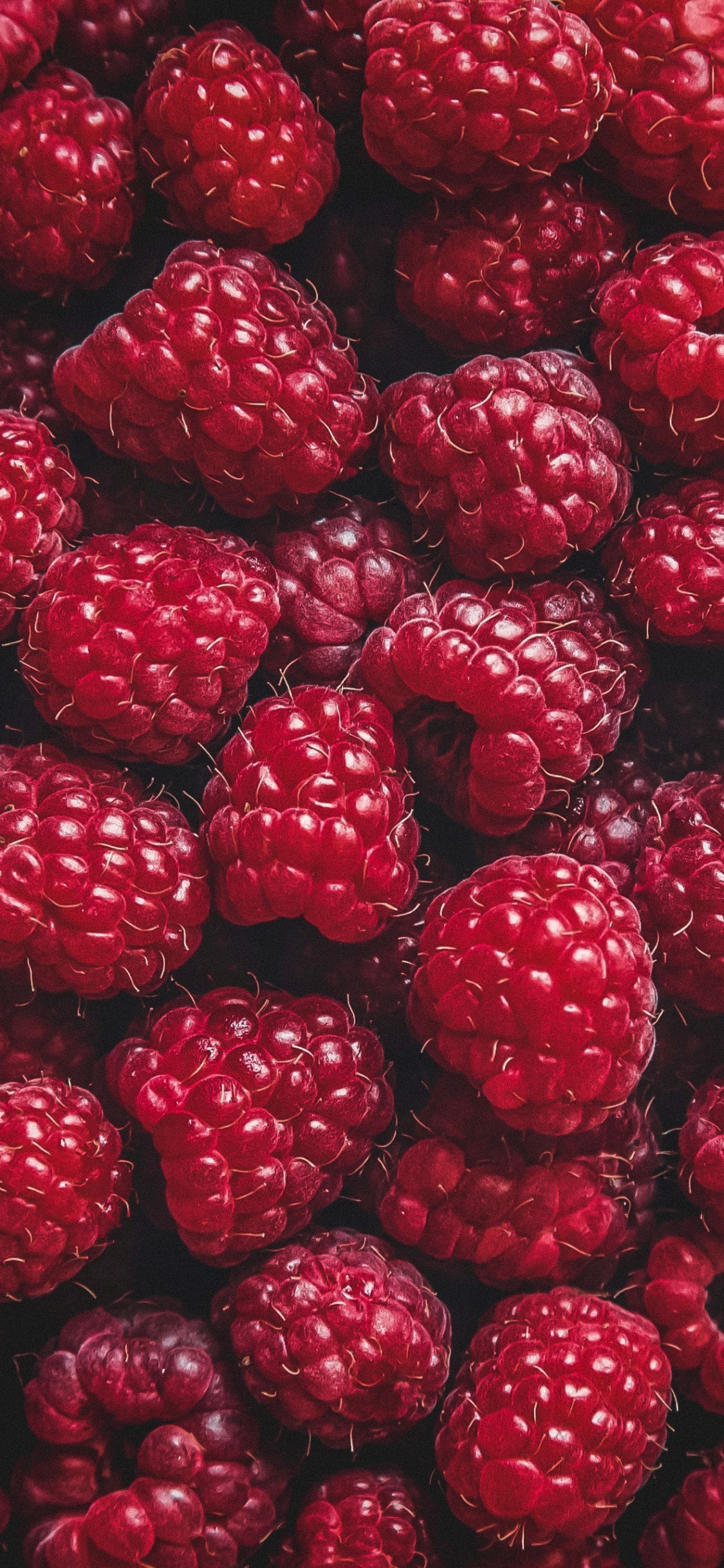 Natürliche Lebensmittel, Boysenberry, Himbeere, Rote Himbeere, Berry. Wallpaper in 1125x2436 Resolution