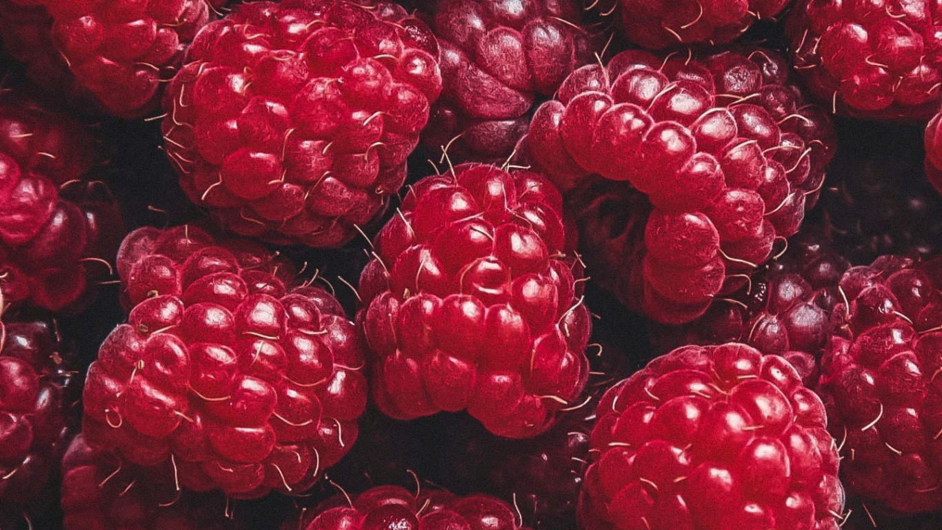 Natürliche Lebensmittel, Boysenberry, Himbeere, Rote Himbeere, Berry. Wallpaper in 1366x768 Resolution