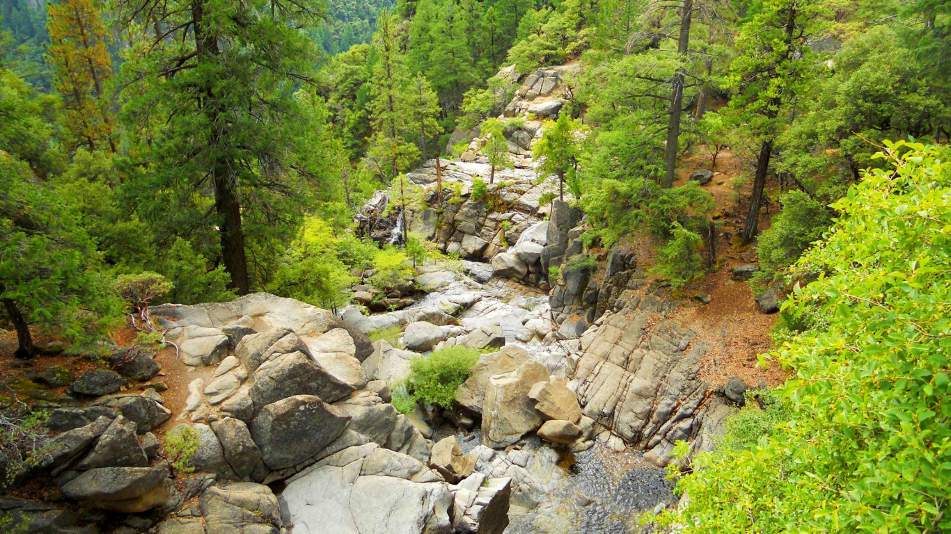 Green Trees and Rocky River During Daytime. Wallpaper in 1366x768 Resolution