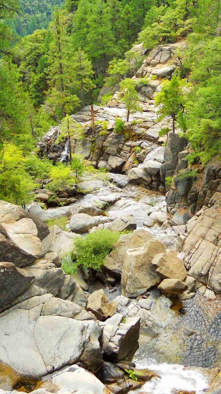 Green Trees and Rocky River During Daytime. Wallpaper in 720x1280 Resolution