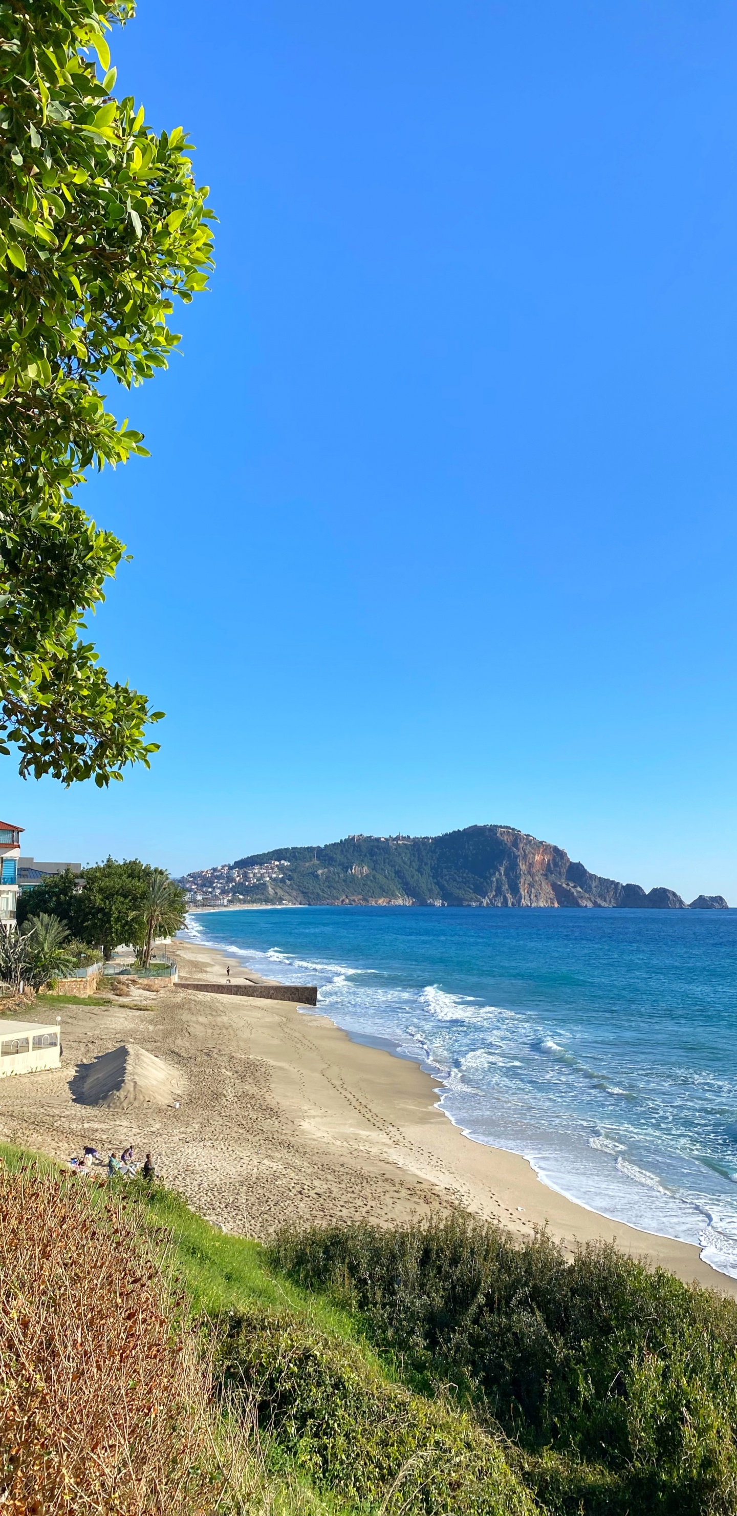 Kleopatra Beach, Coast, Water, Plant, Water Resources. Wallpaper in 1440x2960 Resolution