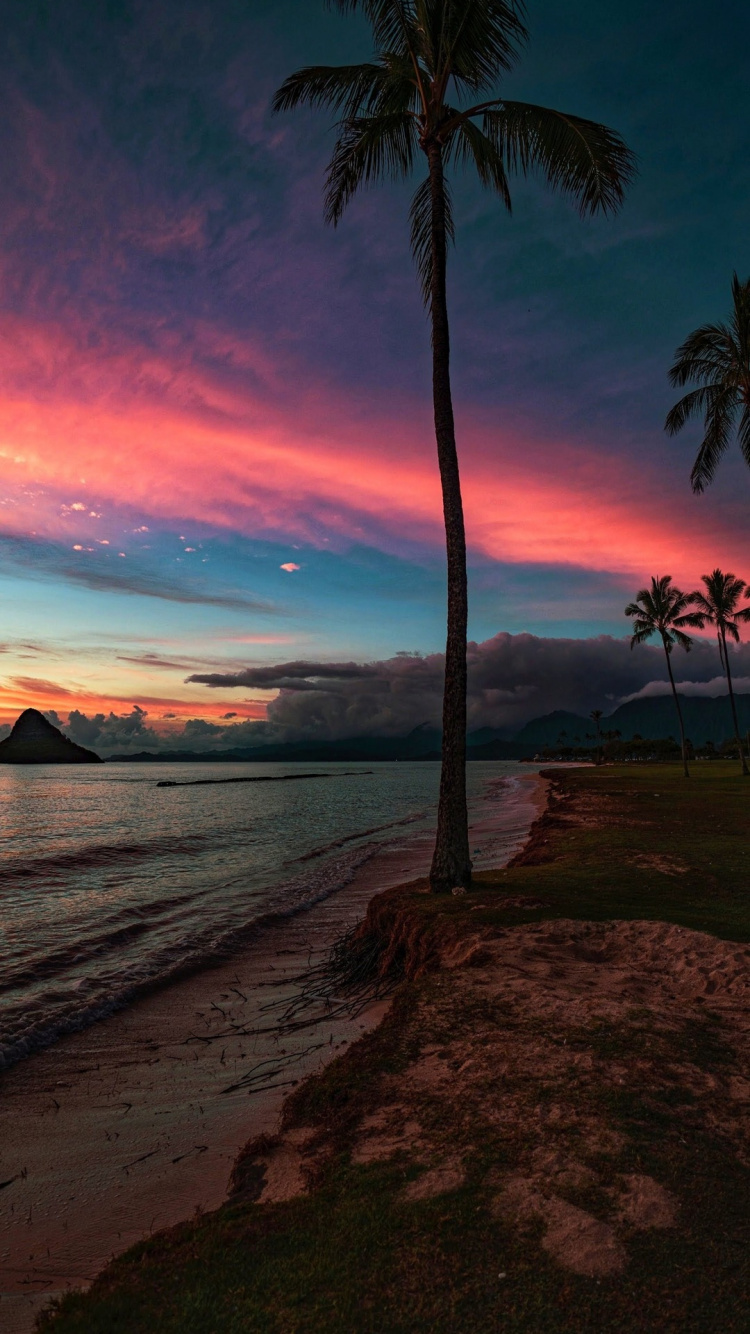 Loka Deep, Palm Trees, Water, Cloud, Atmosphere. Wallpaper in 750x1334 Resolution