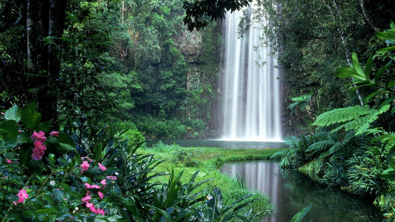 Millaa Millaa Falls, Cascade, Paysage Naturel, Corps de L'eau, Nature. Wallpaper in 1366x768 Resolution
