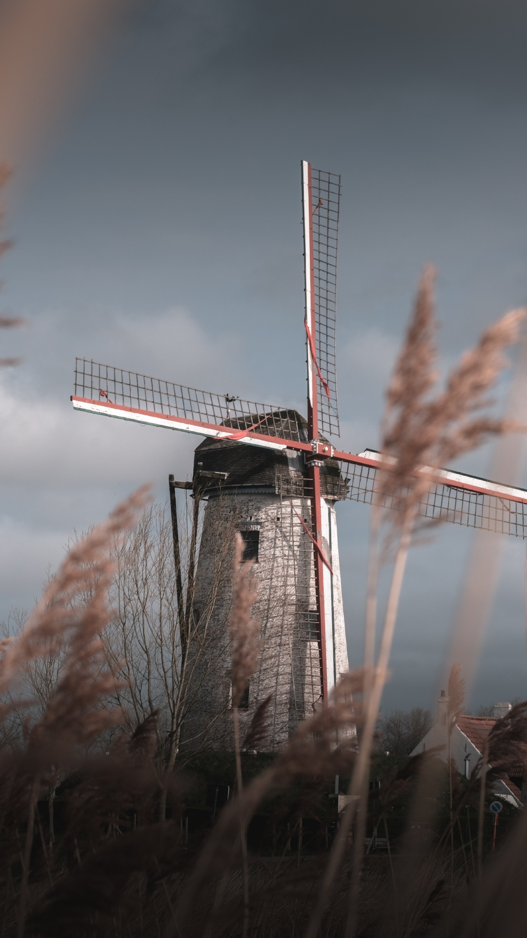 Windmill, Mill, Grass Family, Wind Turbine, Wind. Wallpaper in 1080x1920 Resolution
