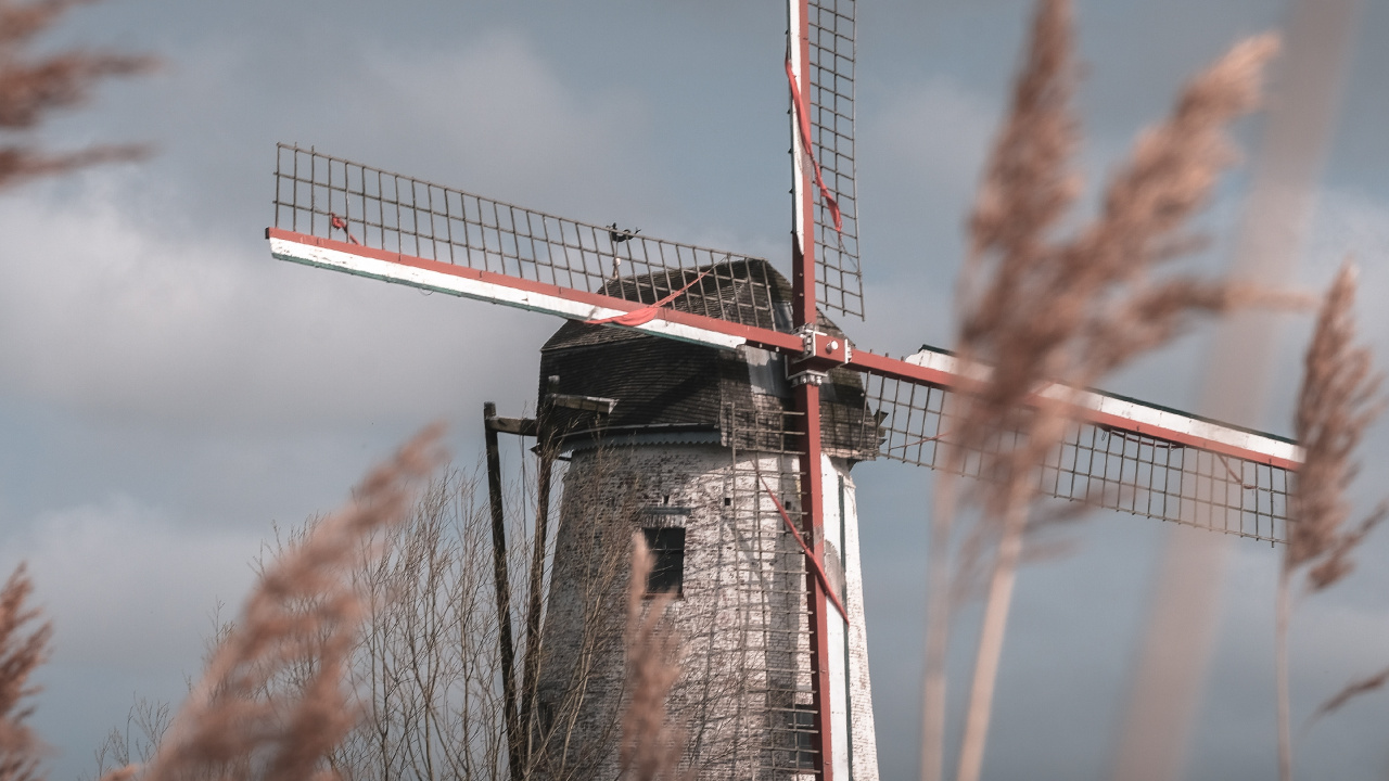 Windmill, Mill, Grass Family, Wind Turbine, Wind. Wallpaper in 1280x720 Resolution