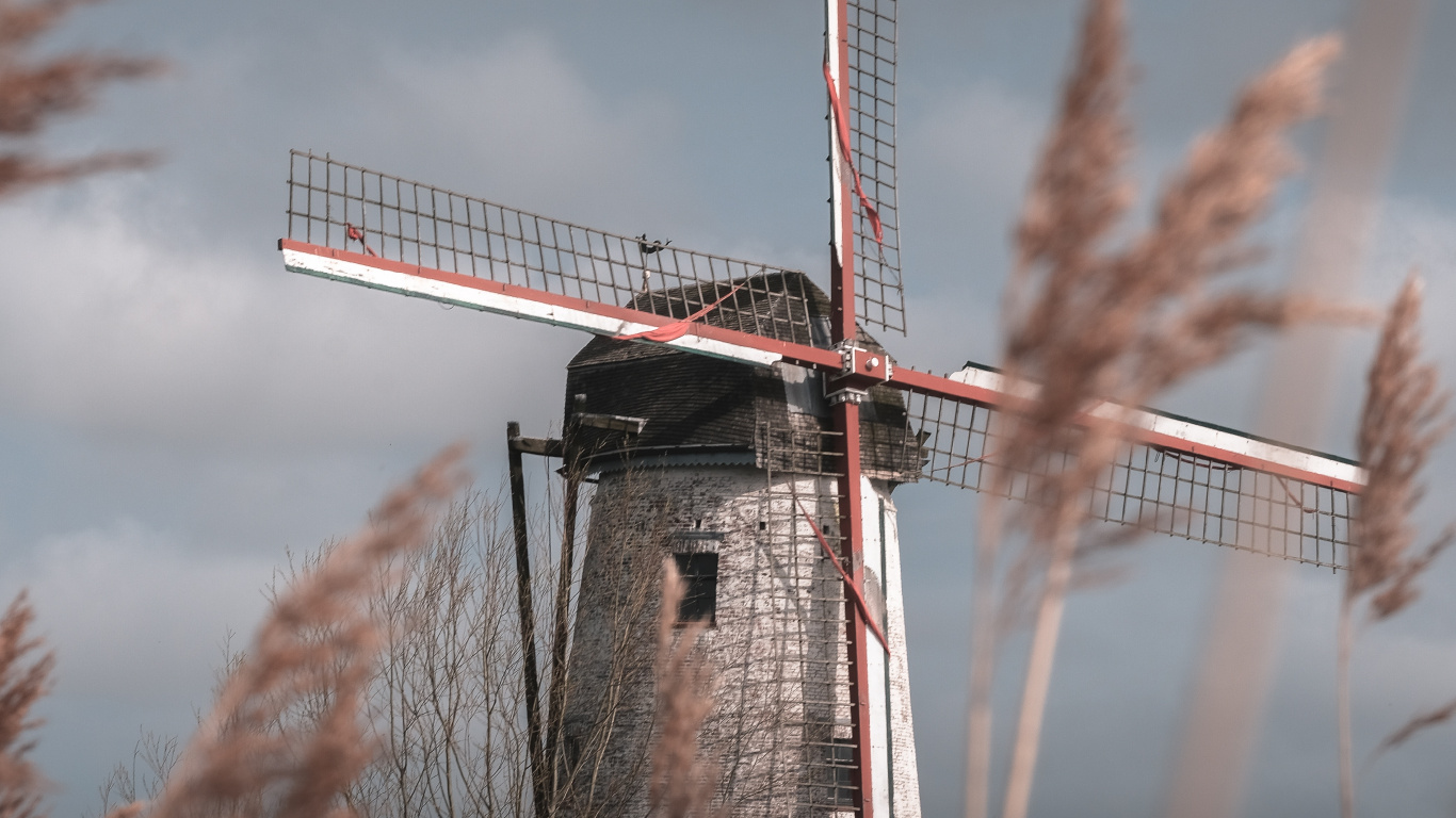 Windmill, Mill, Grass Family, Wind Turbine, Wind. Wallpaper in 1366x768 Resolution