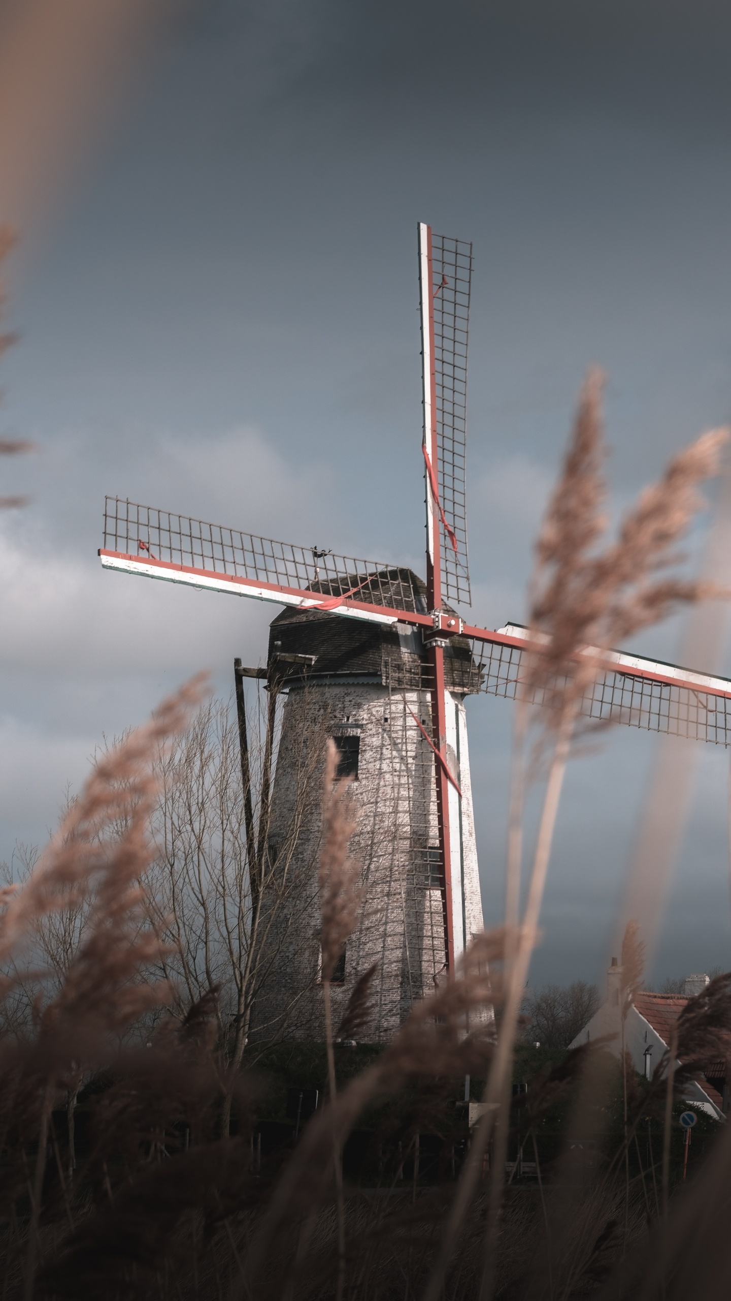 Windmill, Mill, Grass Family, Wind Turbine, Wind. Wallpaper in 1440x2560 Resolution