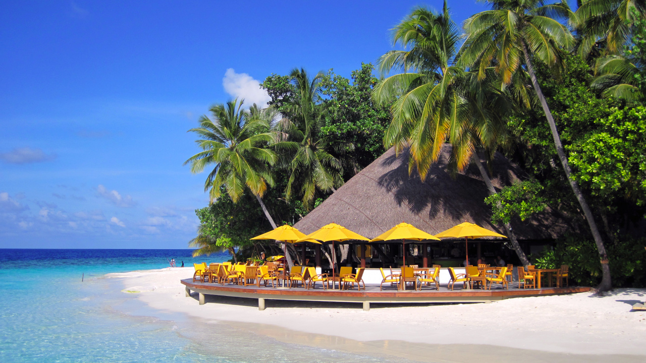 Maison de Plage en Bois Marron Près Des Palmiers Pendant la Journée. Wallpaper in 1280x720 Resolution