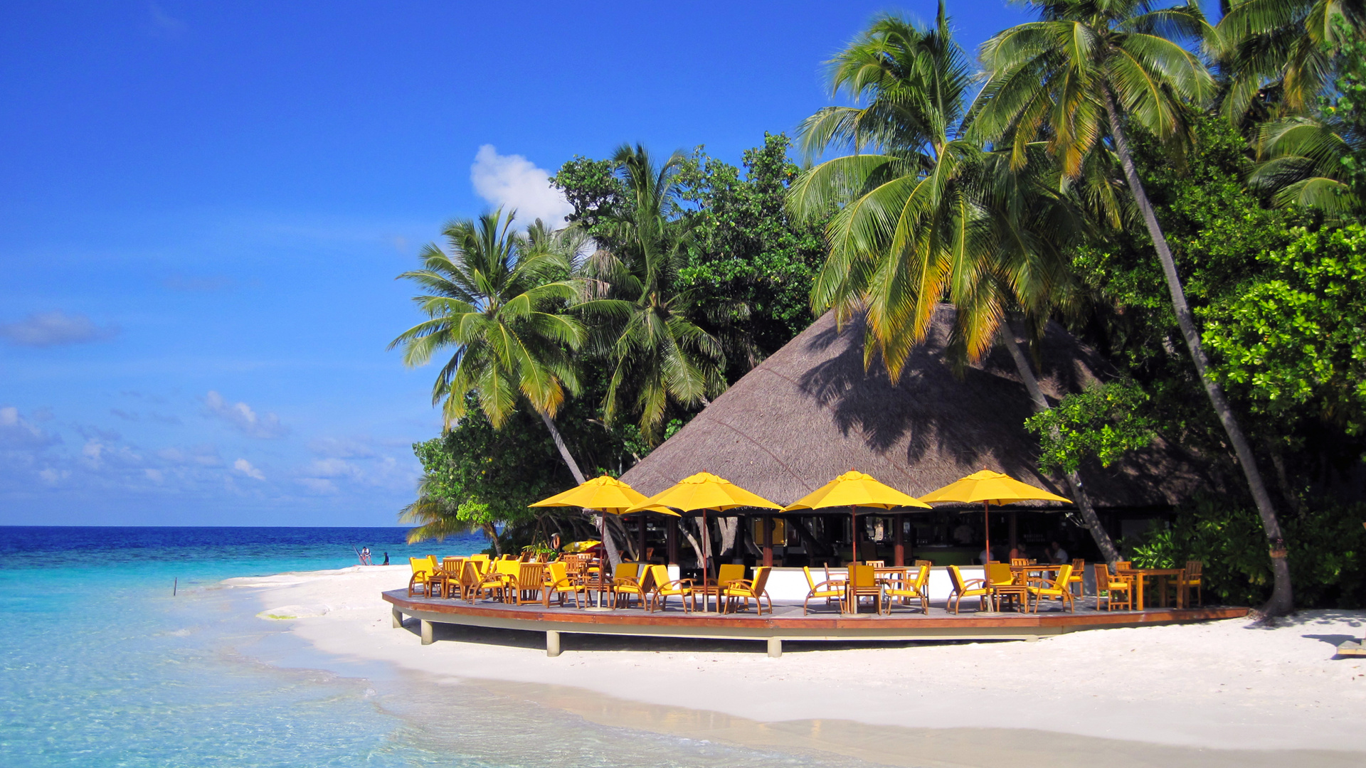 Brown Wooden Beach House Near Palm Trees During Daytime. Wallpaper in 1920x1080 Resolution
