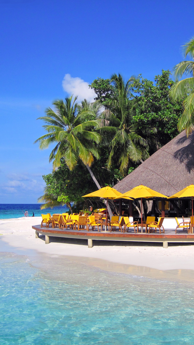 Brown Wooden Beach House Near Palm Trees During Daytime. Wallpaper in 750x1334 Resolution