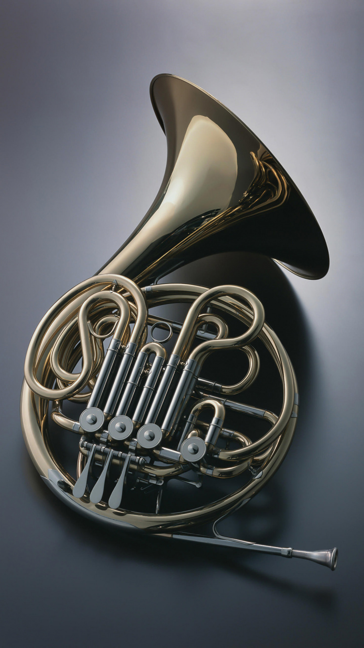 Elephone,  Elephone P8, Waldhorn, Wind Instrument, Messing-instrument. Wallpaper in 750x1334 Resolution