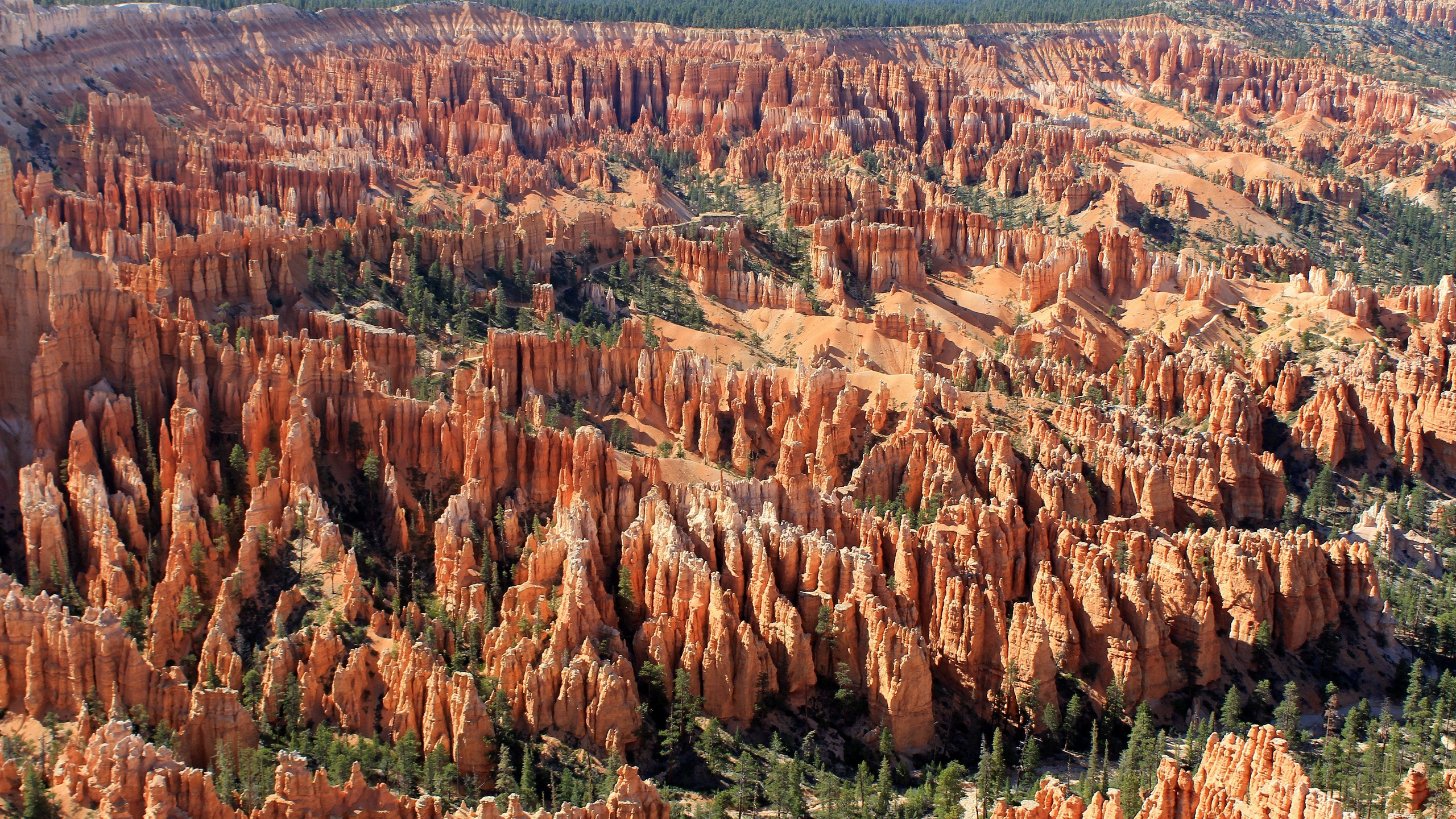 Brown and Green Grass Field During Daytime. Wallpaper in 2560x1440 Resolution