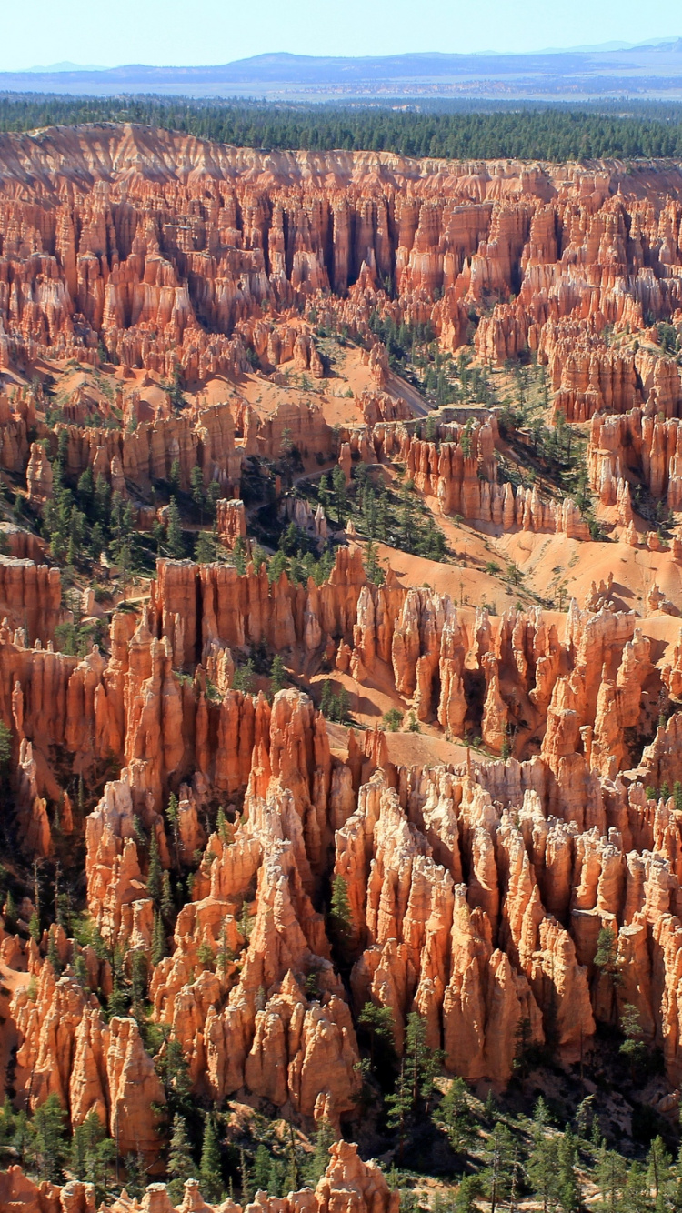 Brown and Green Grass Field During Daytime. Wallpaper in 750x1334 Resolution
