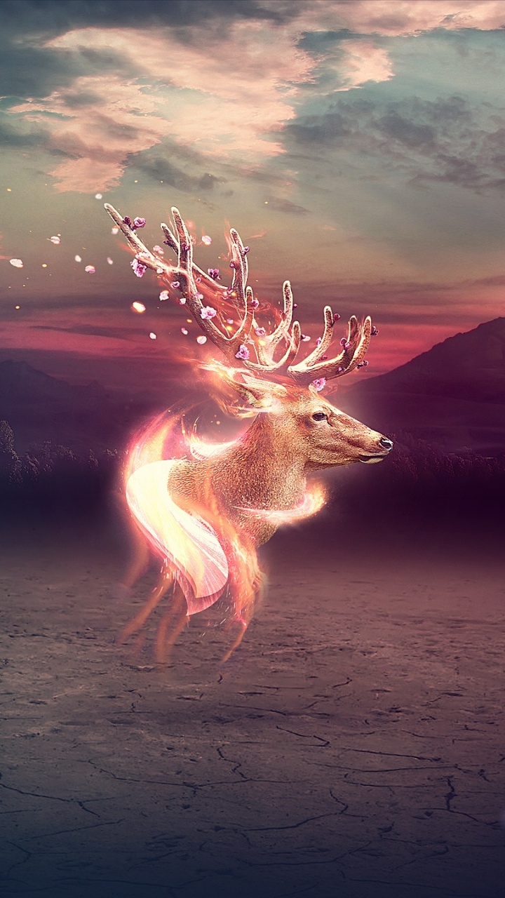 Deer on Brown Sand During Sunset. Wallpaper in 720x1280 Resolution