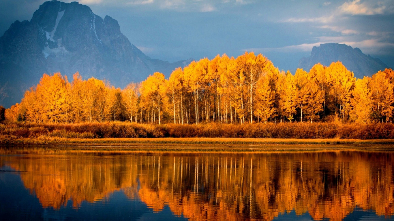Brown Trees Near Lake During Daytime. Wallpaper in 1366x768 Resolution