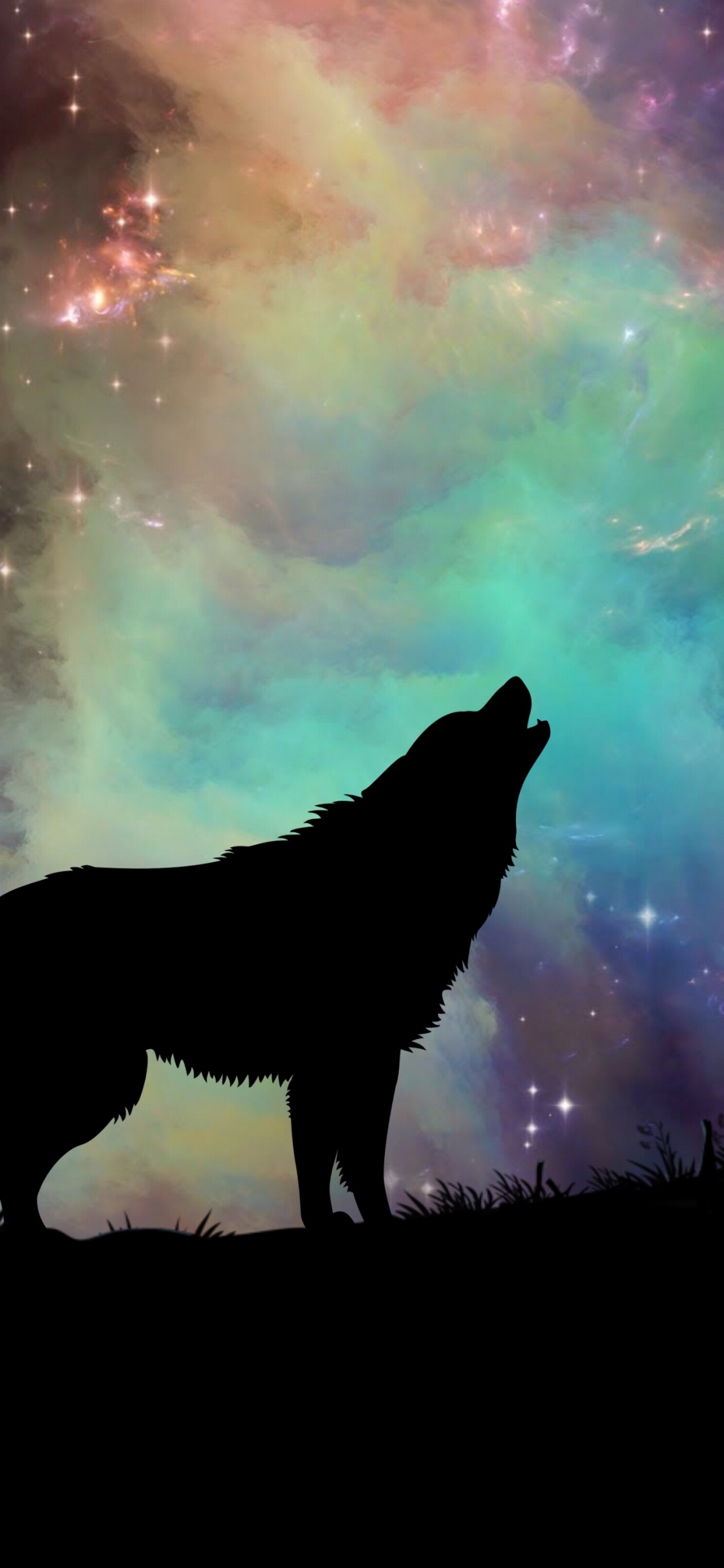 Silueta de Gato de Pie Sobre Una Roca Bajo Las Nubes Blancas Durante el Día. Wallpaper in 1125x2436 Resolution