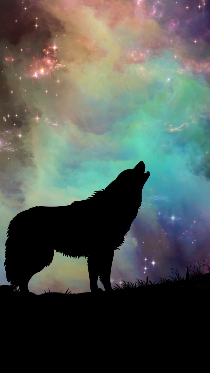 Silueta de Gato de Pie Sobre Una Roca Bajo Las Nubes Blancas Durante el Día. Wallpaper in 720x1280 Resolution