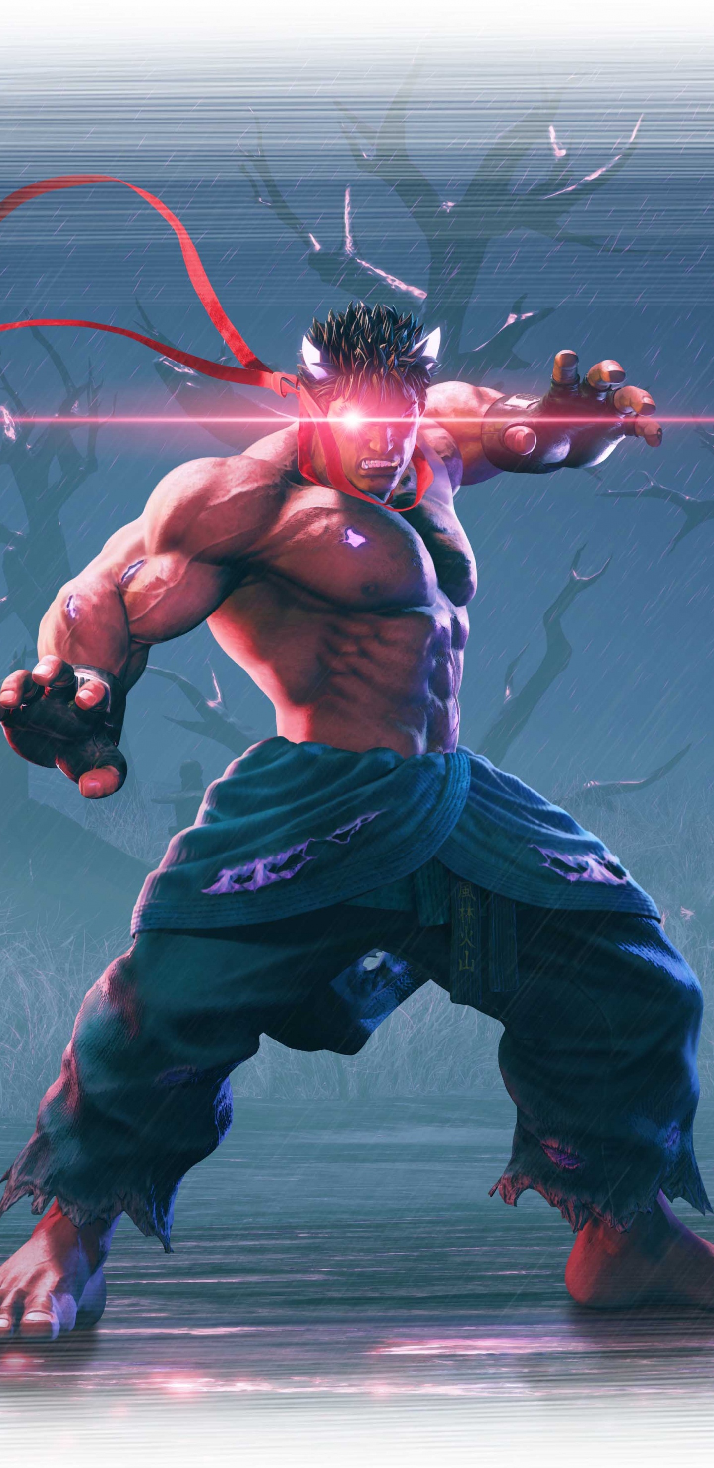 Street Fighter v, Ryu, Capcom, Action Figure, Superhero. Wallpaper in 1440x2960 Resolution