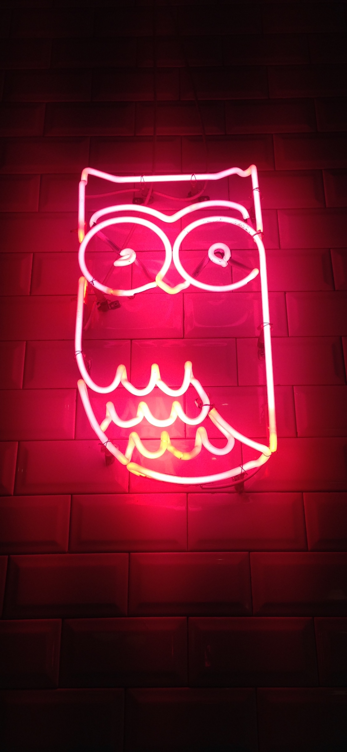 Aesthetic Neon Owl, Owls, Neon, Neon Lighting, Light. Wallpaper in 1125x2436 Resolution