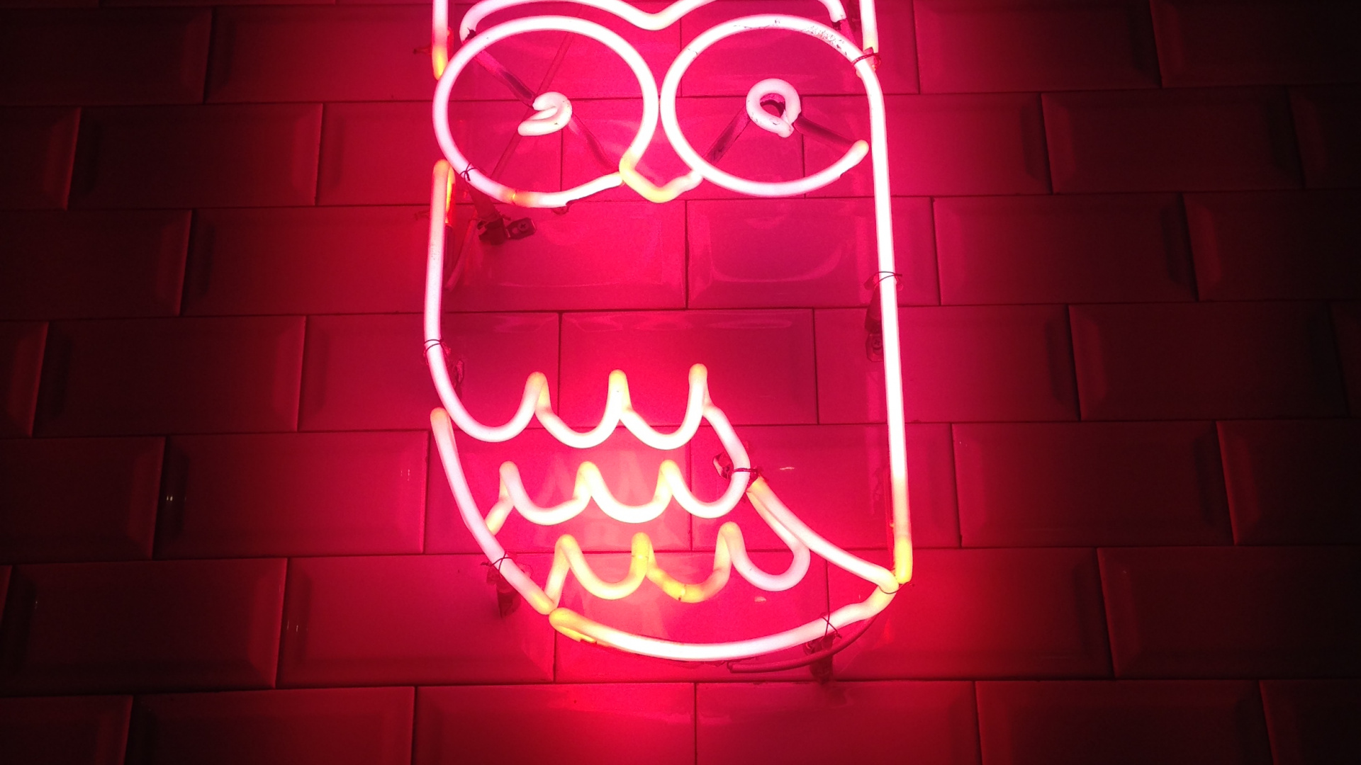Aesthetic Neon Owl, Owls, Neon, Neon Lighting, Light. Wallpaper in 1920x1080 Resolution