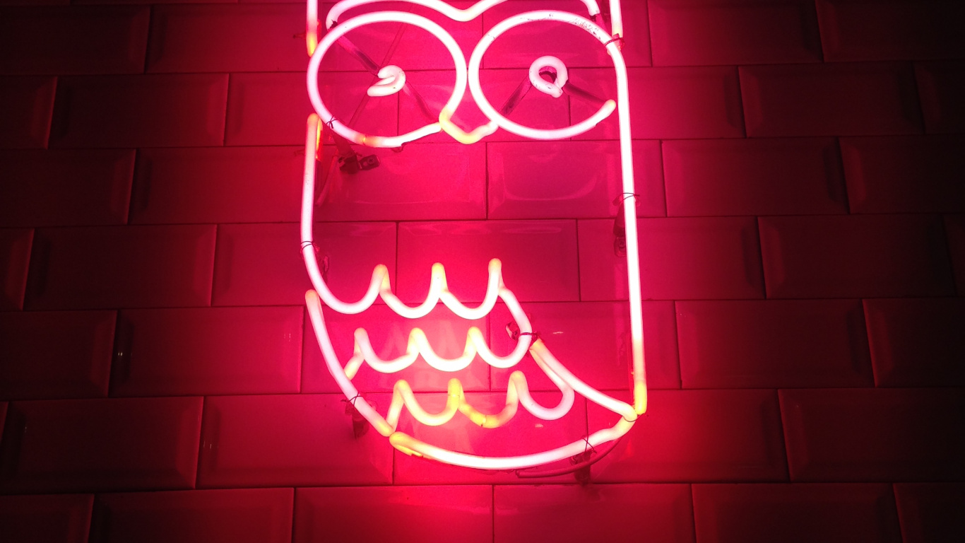 Ästhetische Neon Eule, Owls, Neon, Neon-Beleuchtung, Licht. Wallpaper in 1366x768 Resolution