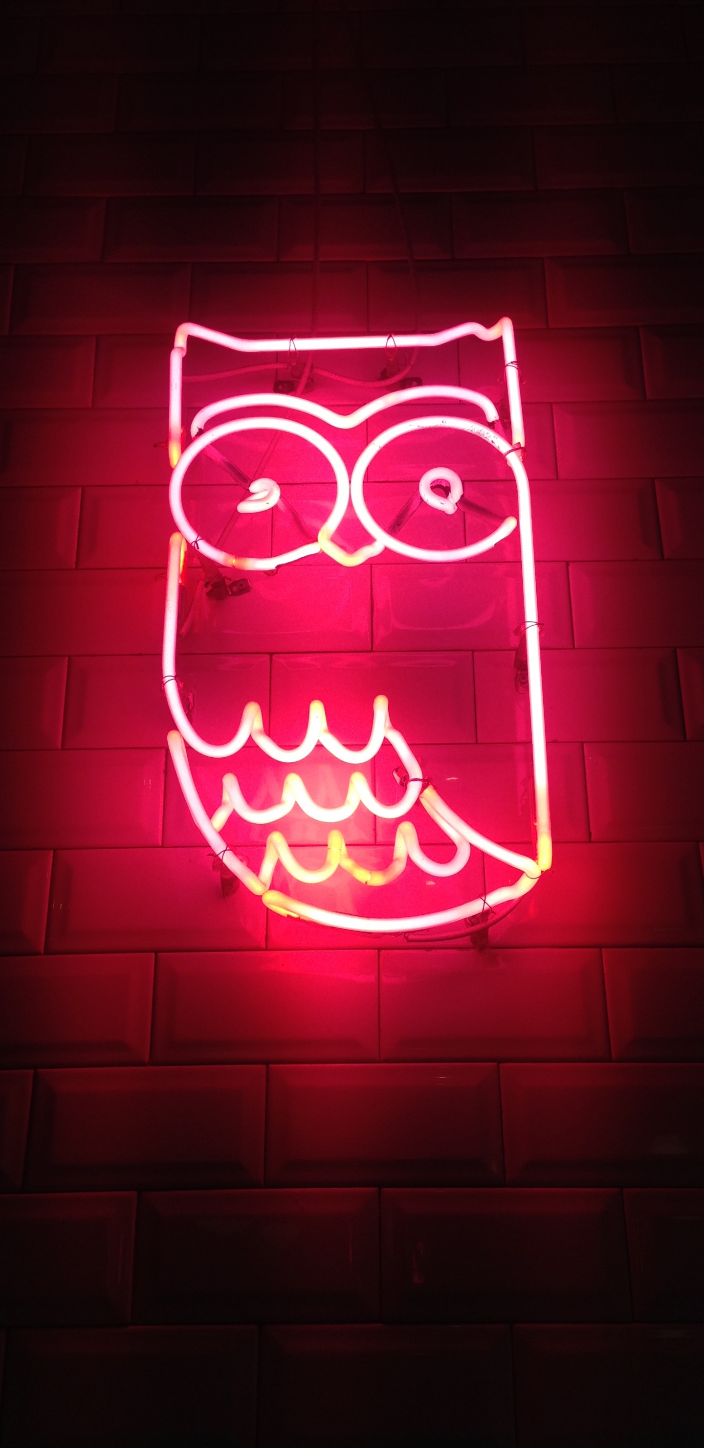 Ästhetische Neon Eule, Owls, Neon, Neon-Beleuchtung, Licht. Wallpaper in 1440x2960 Resolution