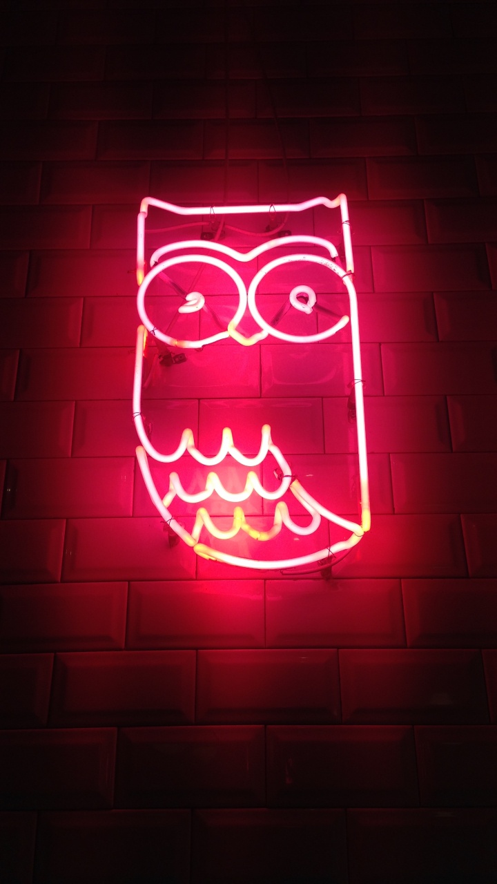 Ästhetische Neon Eule, Owls, Neon, Neon-Beleuchtung, Licht. Wallpaper in 720x1280 Resolution