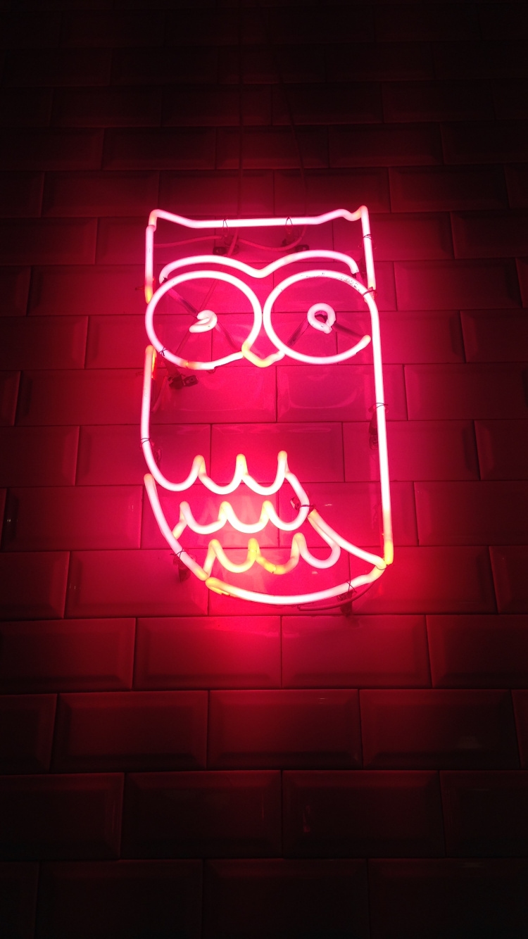 Ästhetische Neon Eule, Owls, Neon, Neon-Beleuchtung, Licht. Wallpaper in 750x1334 Resolution