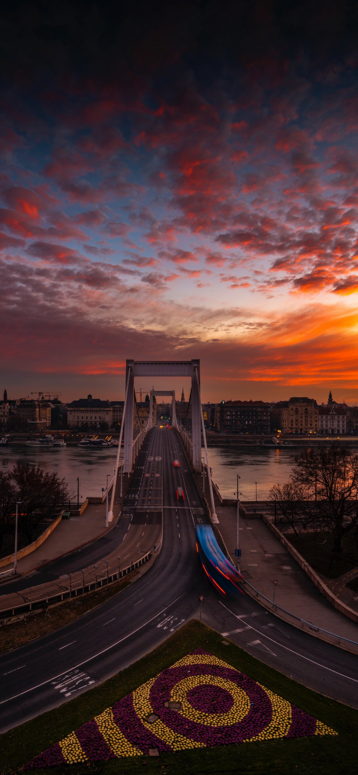Citadella, Budapest, Cloud, Water, Plant. Wallpaper in 1242x2688 Resolution