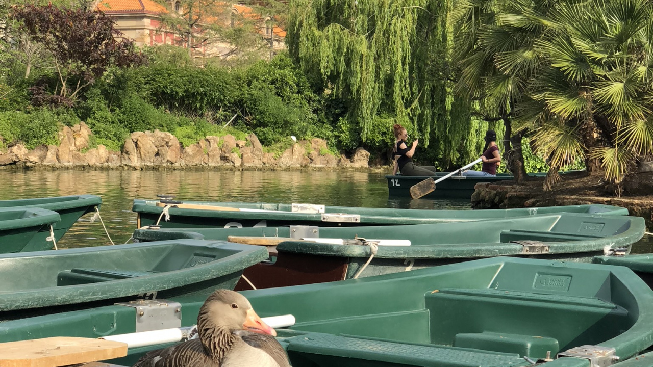 Agua, Piscina, Barco, la Característica Del Agua, Cuerpo de Agua. Wallpaper in 1280x720 Resolution