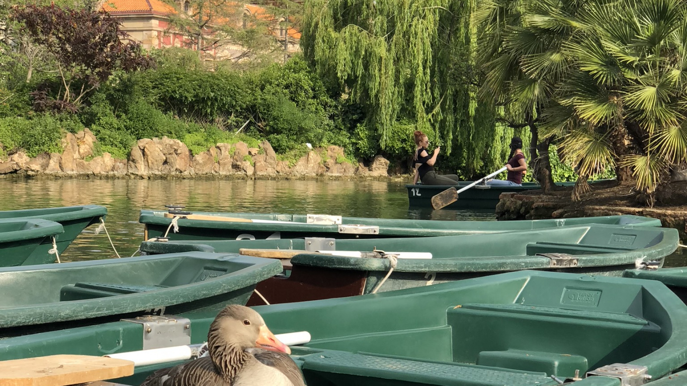 Water, Swimming Pool, Boat, Water Feature, Body of Water. Wallpaper in 1366x768 Resolution