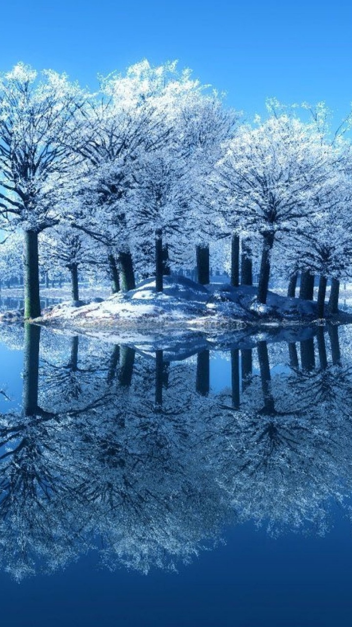 White Trees on Snow Covered Ground Beside Body of Water During Daytime. Wallpaper in 720x1280 Resolution