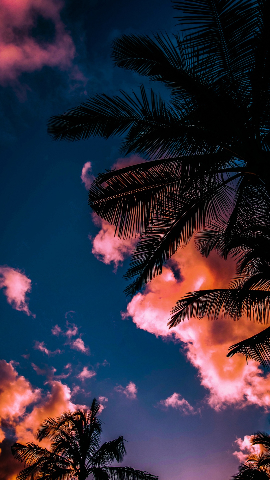 Skwidflow, Atmosphère, Lumière, Éclairage, Végétation. Wallpaper in 1080x1920 Resolution