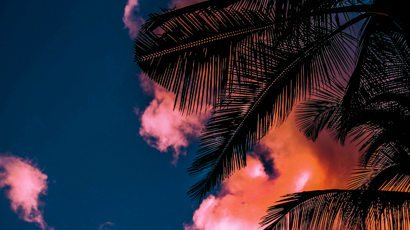 Skwidflow, Atmosphère, Lumière, Éclairage, Végétation. Wallpaper in 1366x768 Resolution