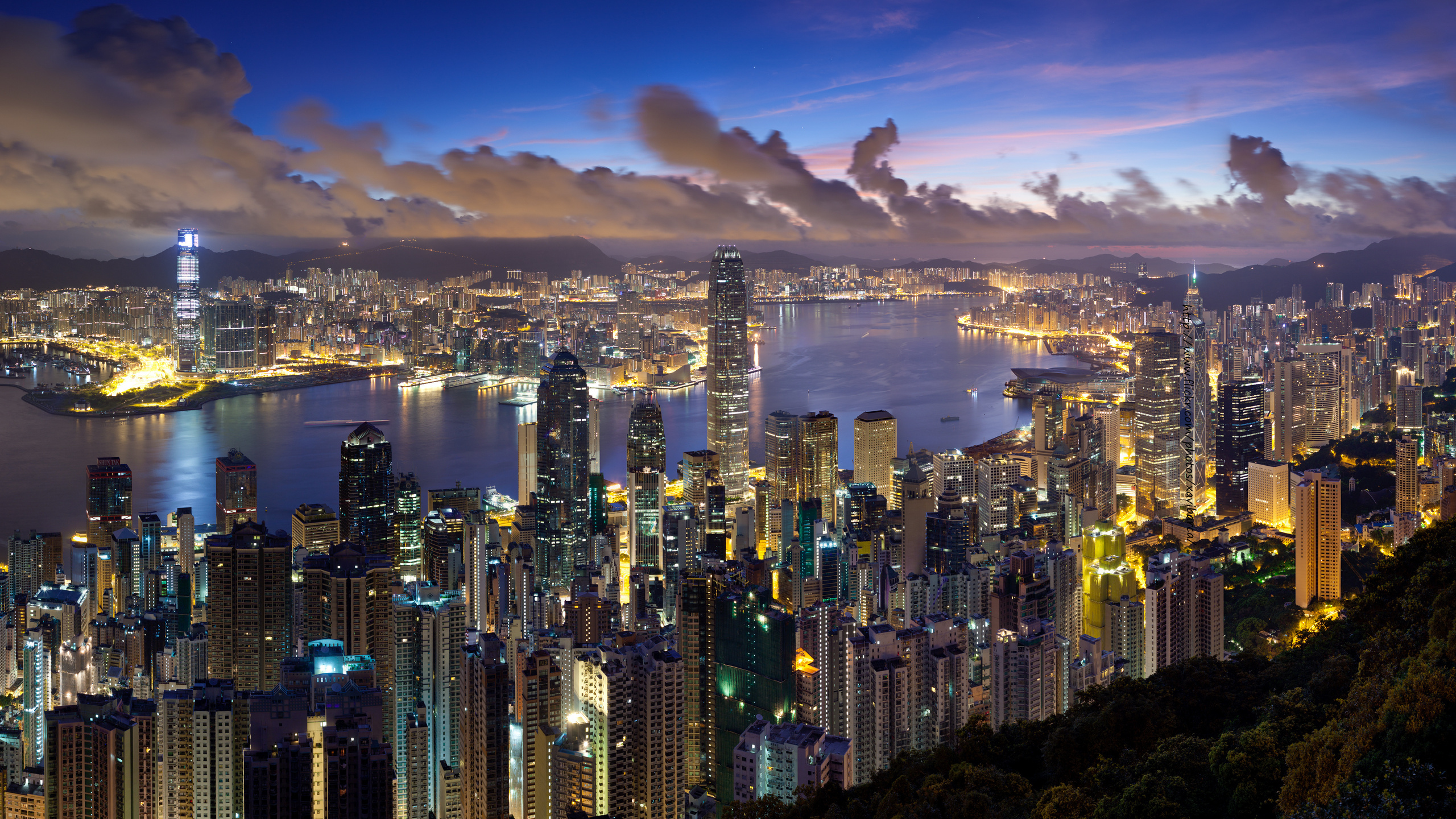 香港, 城市景观, 城市, 大都会, 天际线 壁纸 2560x1440 允许