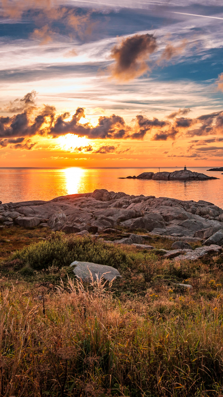 Herbe Verte Près du Plan D'eau Pendant le Coucher du Soleil. Wallpaper in 750x1334 Resolution