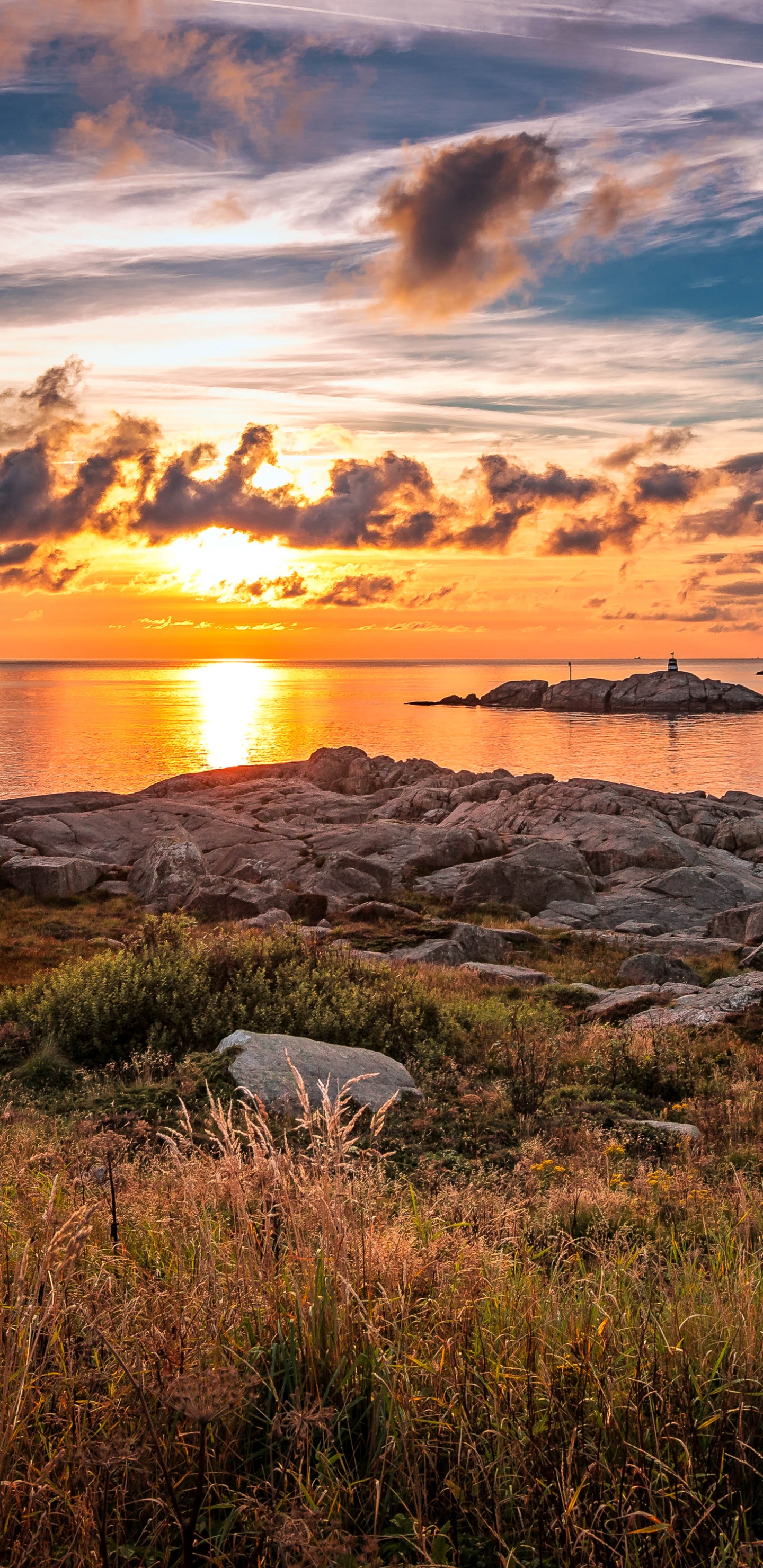 Grünes Gras in Der Nähe Von Gewässern Während Des Sonnenuntergangs. Wallpaper in 1440x2960 Resolution