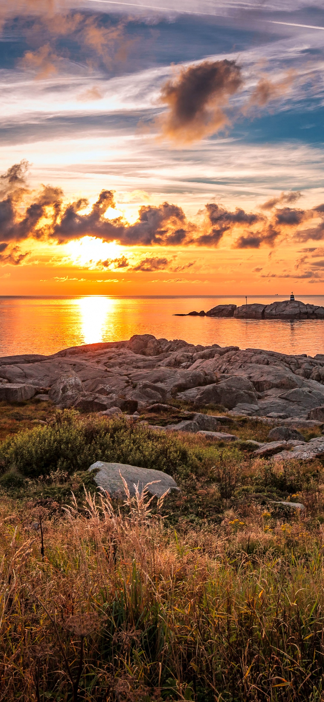 Green Grass Near Body of Water During Sunset. Wallpaper in 1125x2436 Resolution