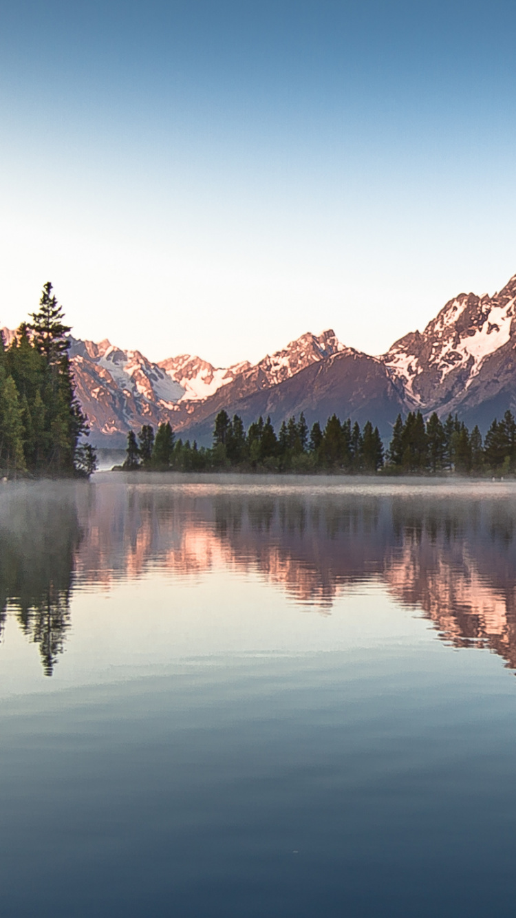Árboles Verdes Cerca Del Lago Bajo un Cielo Azul Durante el Día. Wallpaper in 750x1334 Resolution