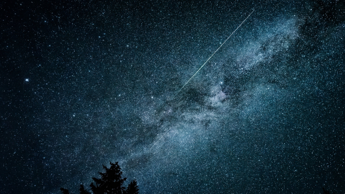 Silueta de Árboles Bajo la Noche Estrellada. Wallpaper in 1366x768 Resolution