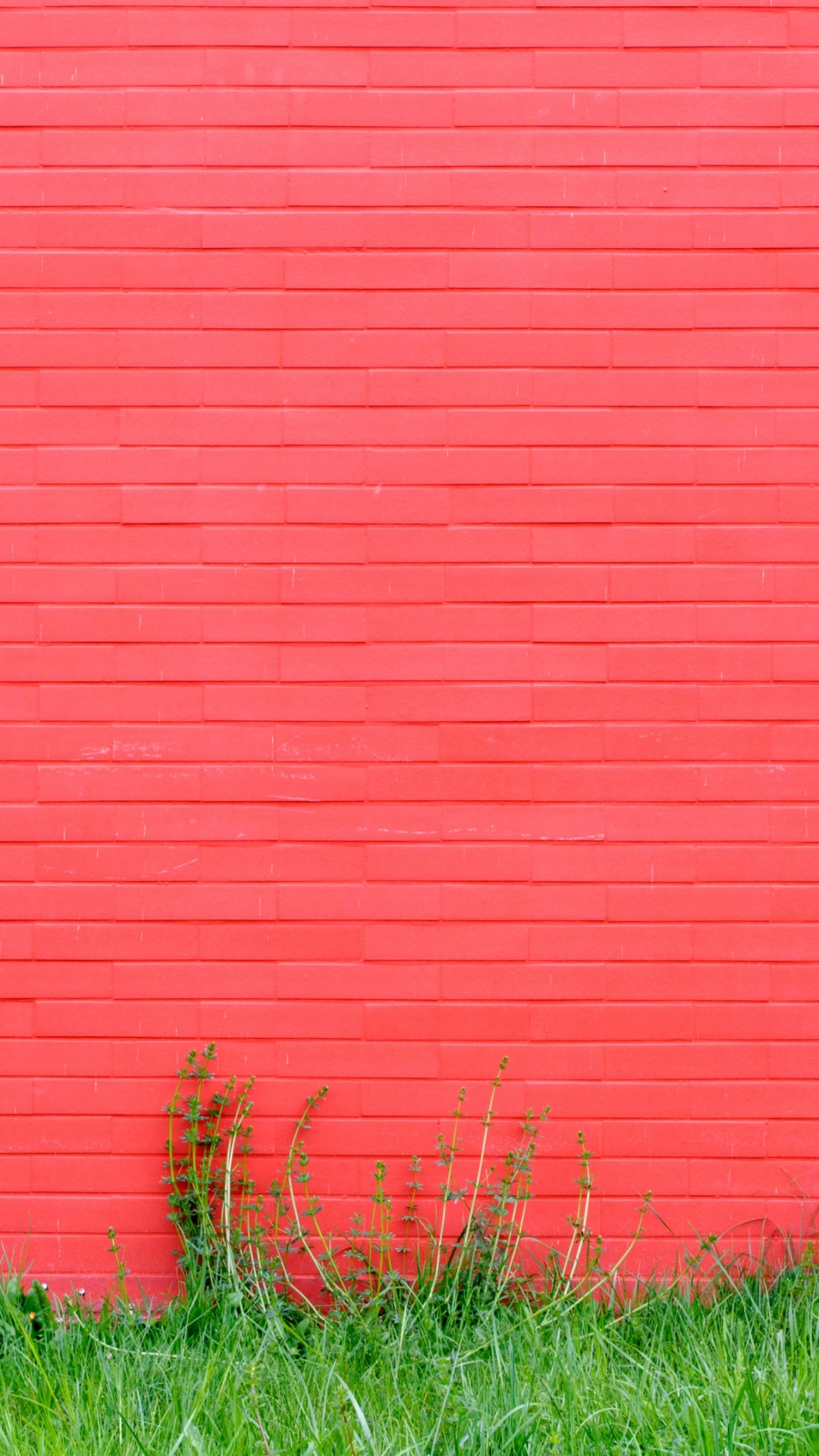Mur Rose et Herbe, Mur, Brique, L'écorégion, Peinture. Wallpaper in 1080x1920 Resolution
