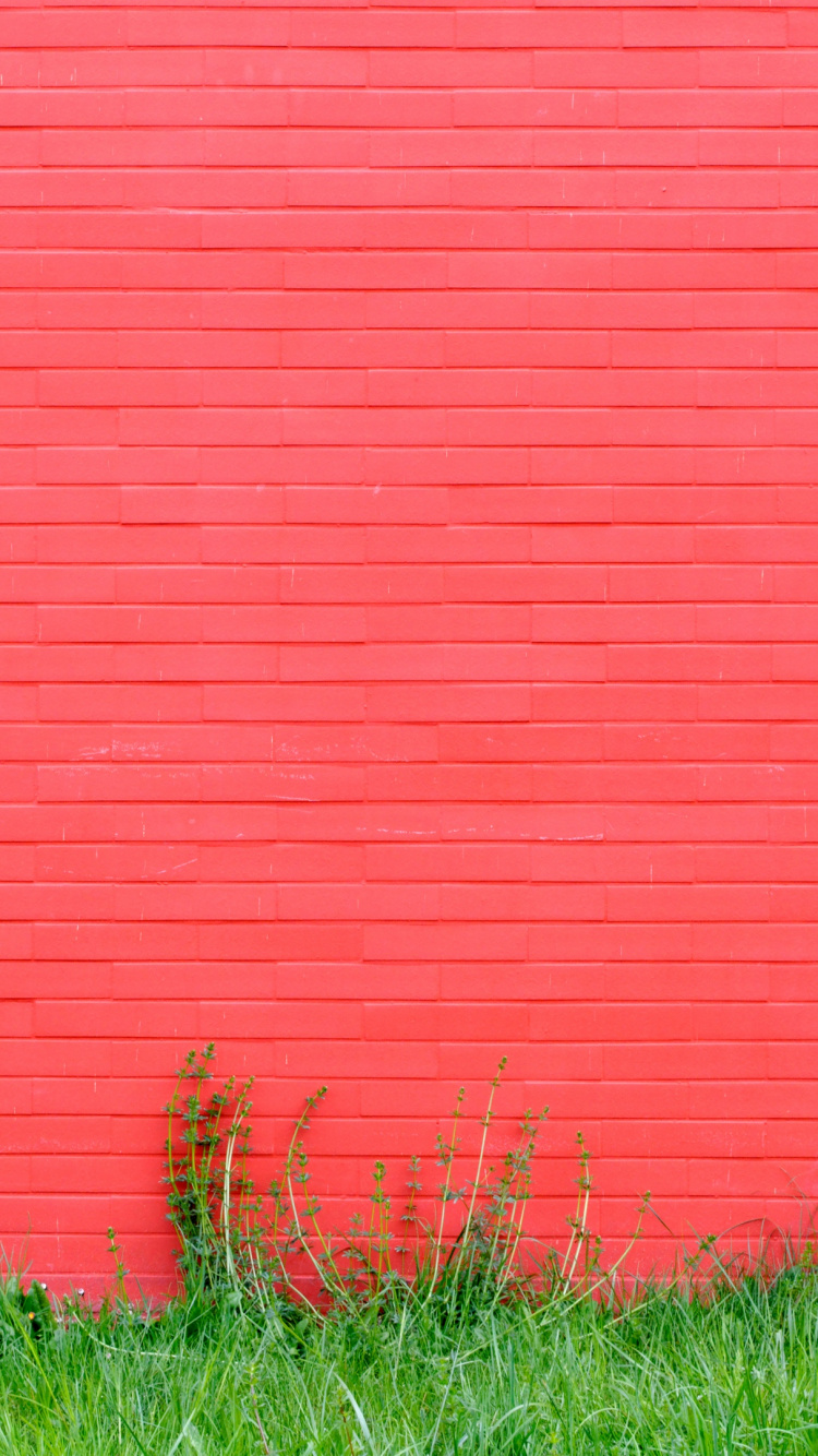 Mur Rose et Herbe, Mur, Brique, L'écorégion, Peinture. Wallpaper in 750x1334 Resolution