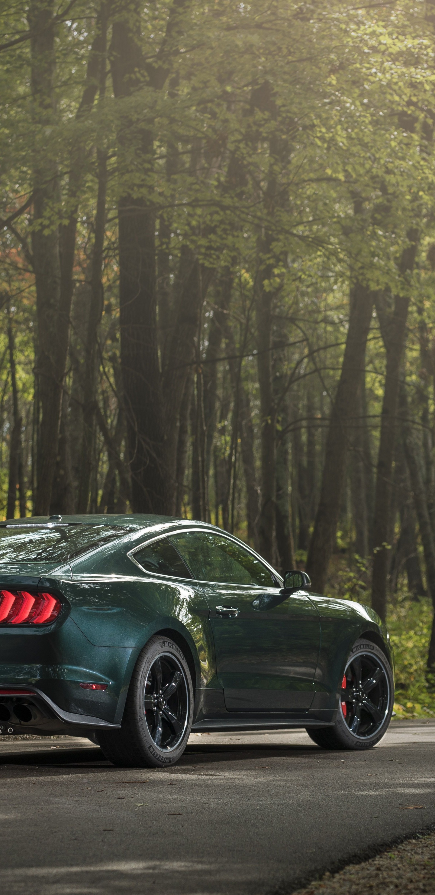 Schwarze Limousine Auf Der Straße Zwischen Bäumen Tagsüber. Wallpaper in 1440x2960 Resolution