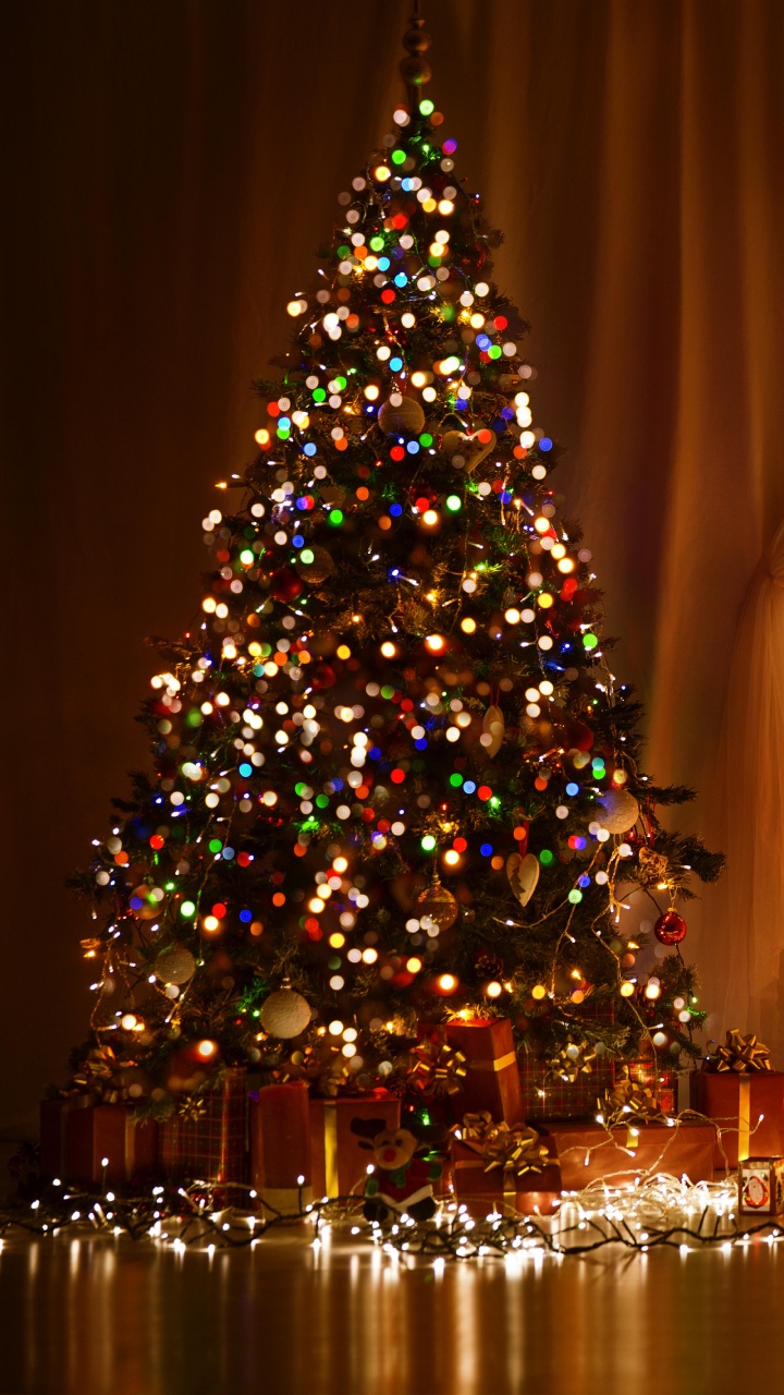 圣诞节那天, 圣诞树, 圣诞彩灯, 圣诞装饰, 假日 壁纸 720x1280 允许