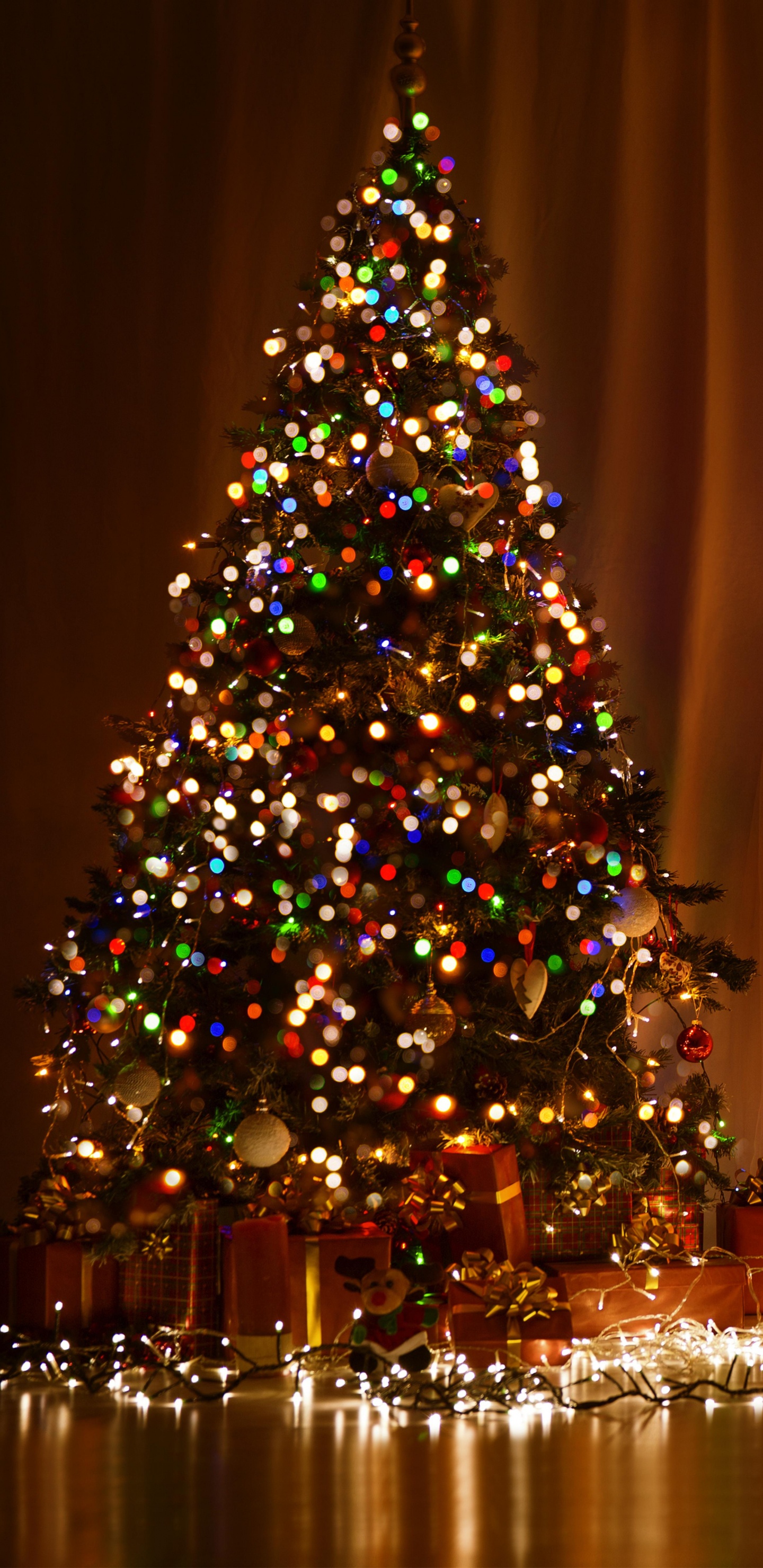 Christmas Day, Christmas Tree, Christmas Lights, Christmas Decoration, Holiday. Wallpaper in 1440x2960 Resolution