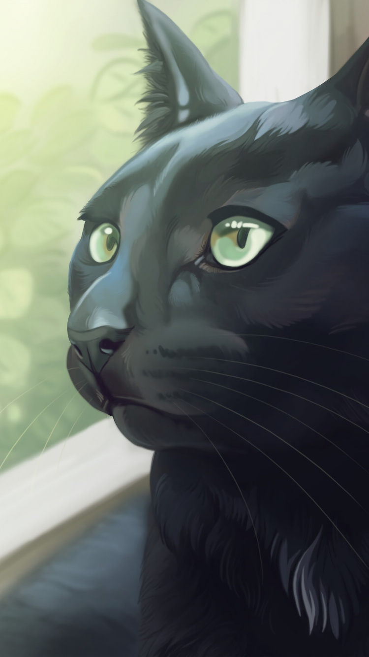 黑色的猫, 猫科, 胡须, 孟买, 黑色的 壁纸 750x1334 允许