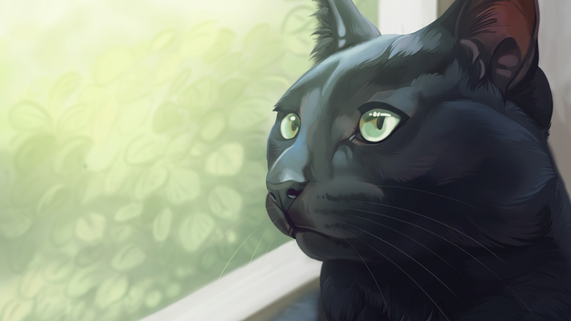 Schwarze Katze Auf Weißem Textil. Wallpaper in 1920x1080 Resolution